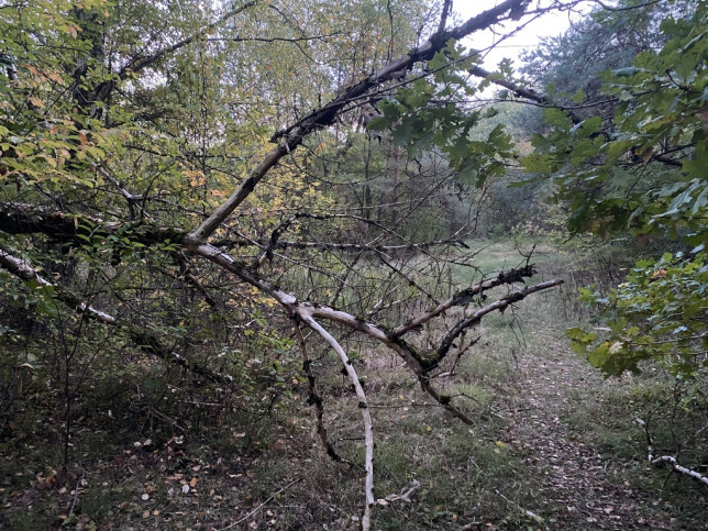 Działka Sprzedaż Kopki 3