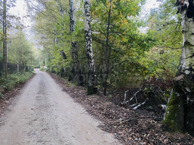 Działka Sprzedaż Kopki 2