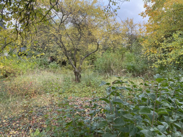 Działka Sprzedaż Warszawa Wilanów Niski